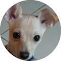 Adriana Greco Avatar